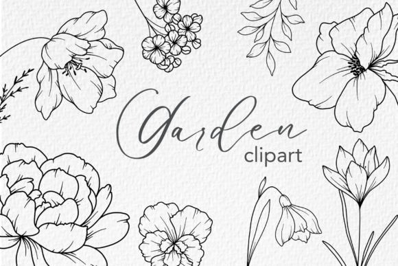 Download FLOWERS LINE DRAWING, Floral Line Art - Drawing Collection